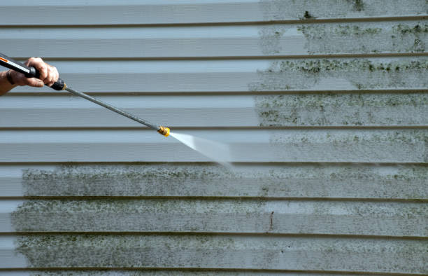 Trusted Cedar Springs, MI Pressure Washing Services Experts